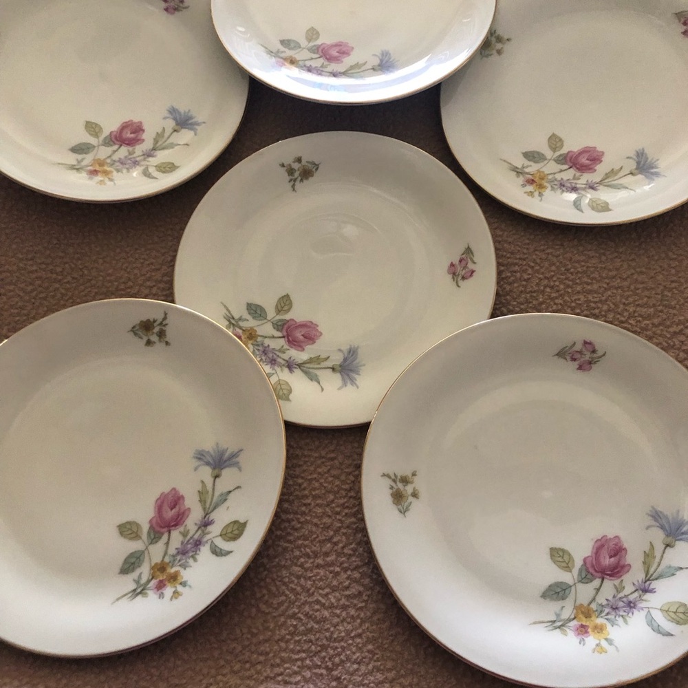 Vintage Seltmann Weiden Bavaria Porcelain Pink Floral  Pattern 7.5 “ Plates